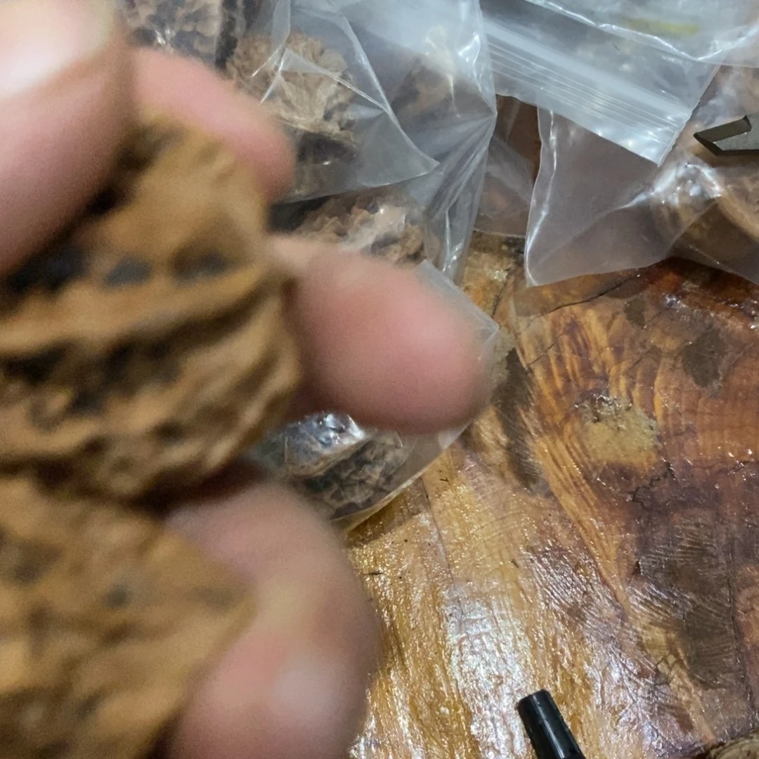 秦岭南北区一座城市