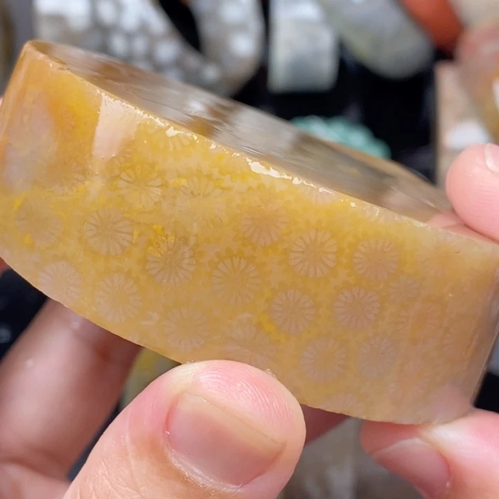 硅化玉未镶嵌手镯（圆镯）