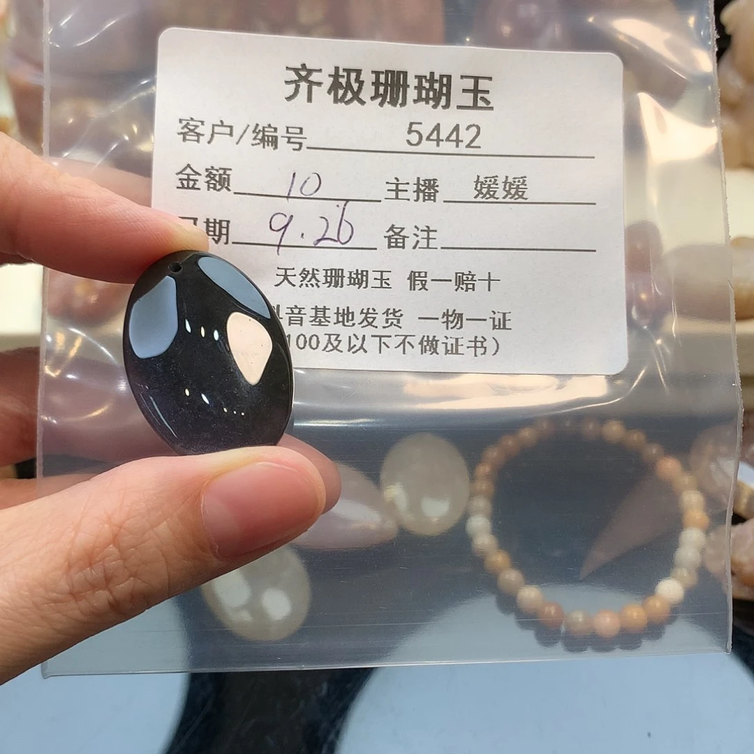 颈饰未镶嵌硅化珊瑚（珊瑚玉）五*