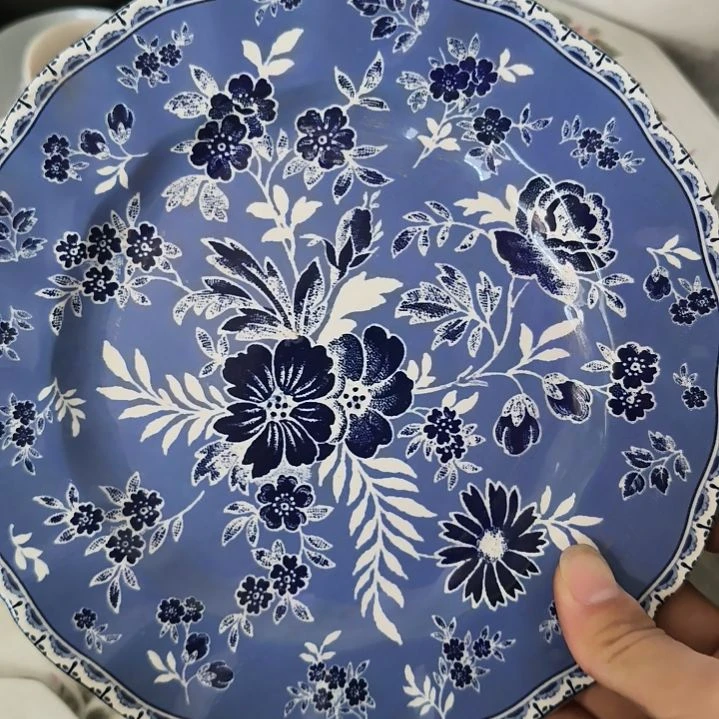 瓷陶瓷盘子碗啥都有