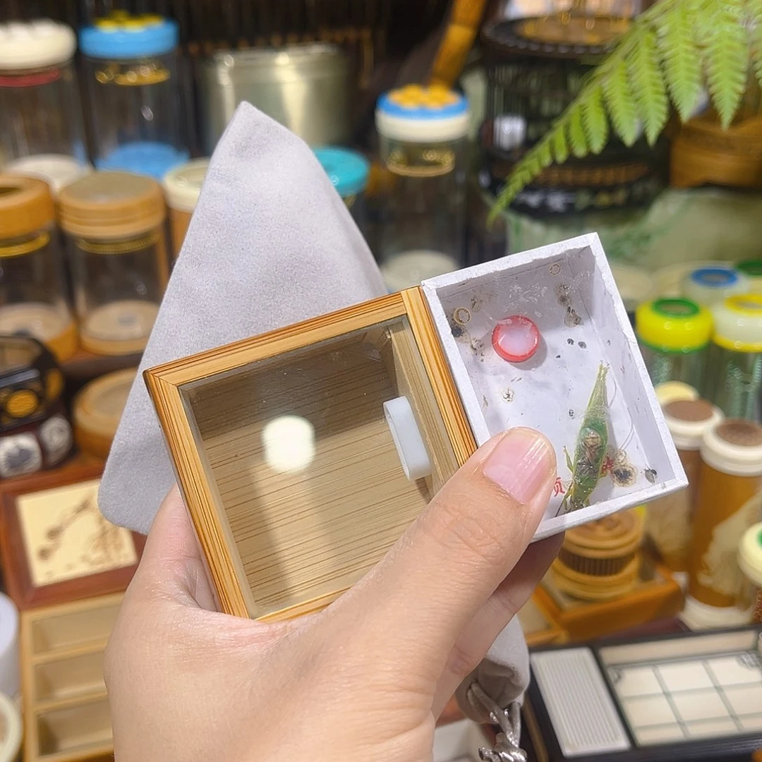 蟋蟀老竹竹蛉盒+绿金钟+布套