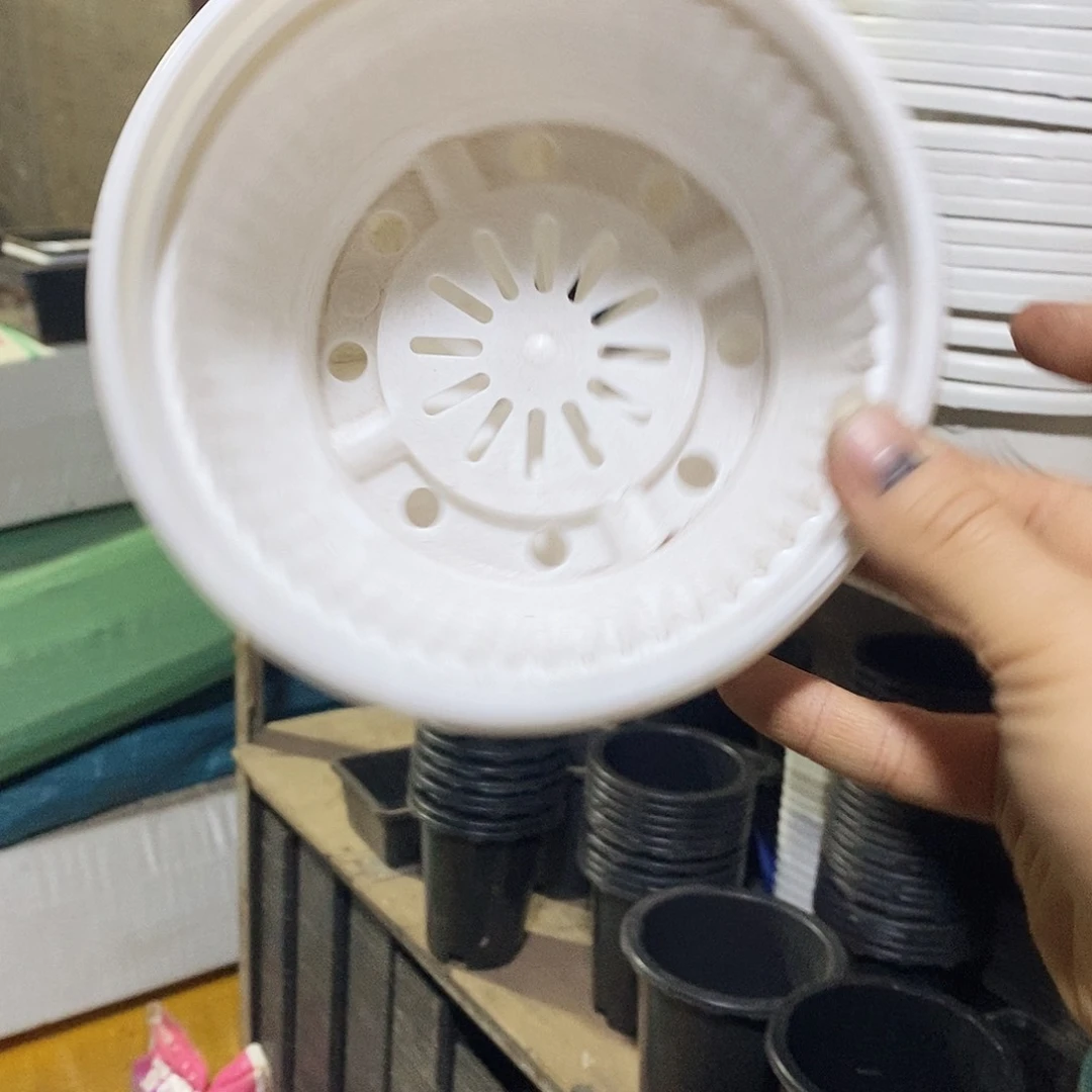 塑料新16公分白圆盆10个