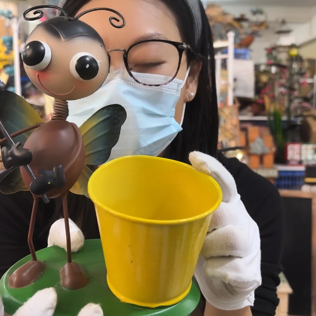 核桃木/黑胡桃（胡桃木）