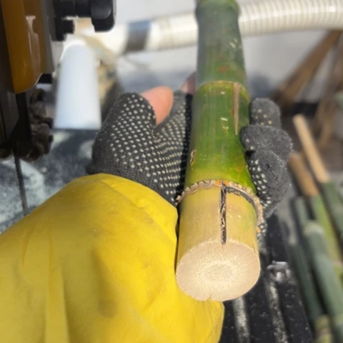 J***e实心竹竹竹竹竹竹竹竹竹