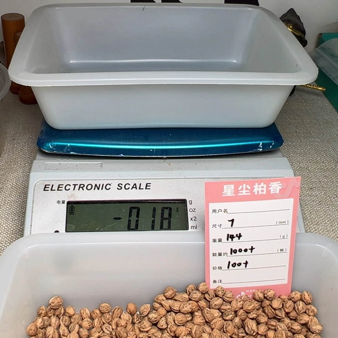 柏香籽/百香籽吊坠再****离