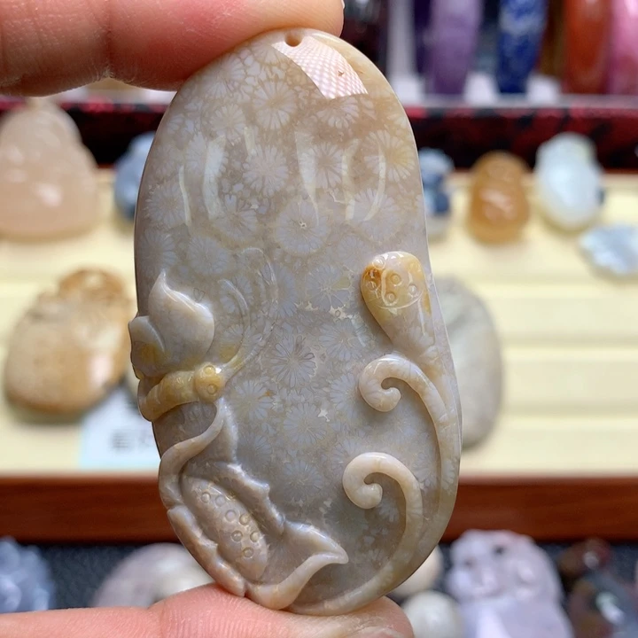 硅化珊瑚（珊瑚玉）未镶嵌颈饰