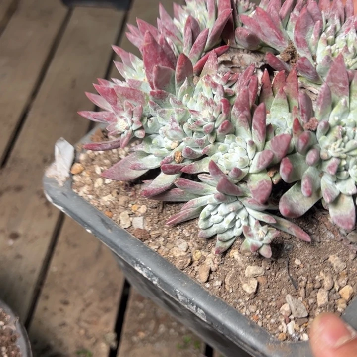 1970哈哈哈哈哈哈哈哈