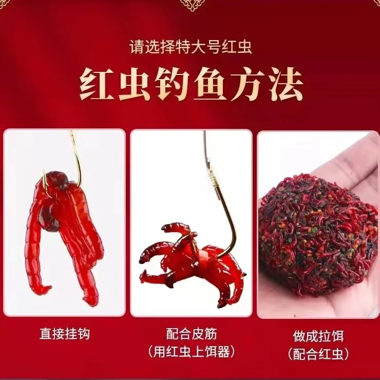野钓黑坑红虫拉饵中小号公虫饵料钓鱼蚯蚓野钓鲫鲤鱼拉饵鱼饵批发