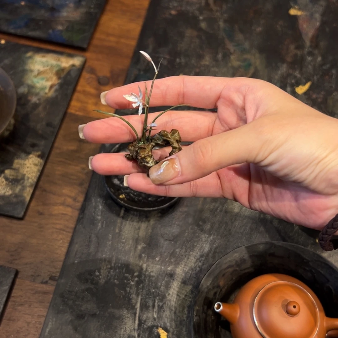 瓷片陶瓷。        陶瓷。