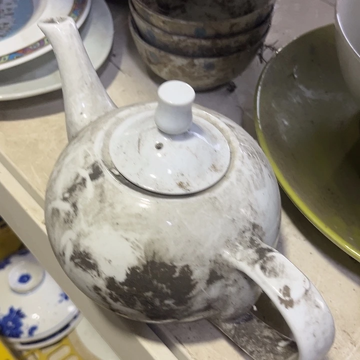 哈哈哈哈哈哈哈好家伙