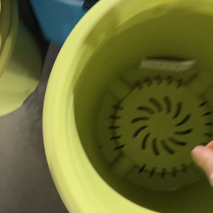 编号2434果绿无托4个口径46