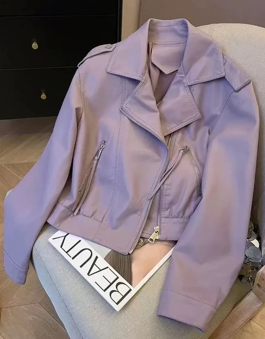 拼接短款修身型常规刺绣翻领皮衣韩版网红显瘦百搭外套女装