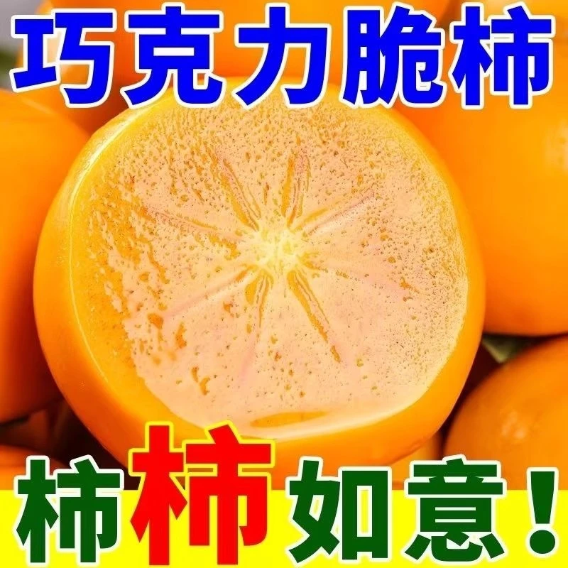 【次日达】顺丰京东包邮脆柿正宗山西阳丰脆柿子脆甜新鲜应季水果现摘硬柿脆皮巧克力冰糖心柿子山西省