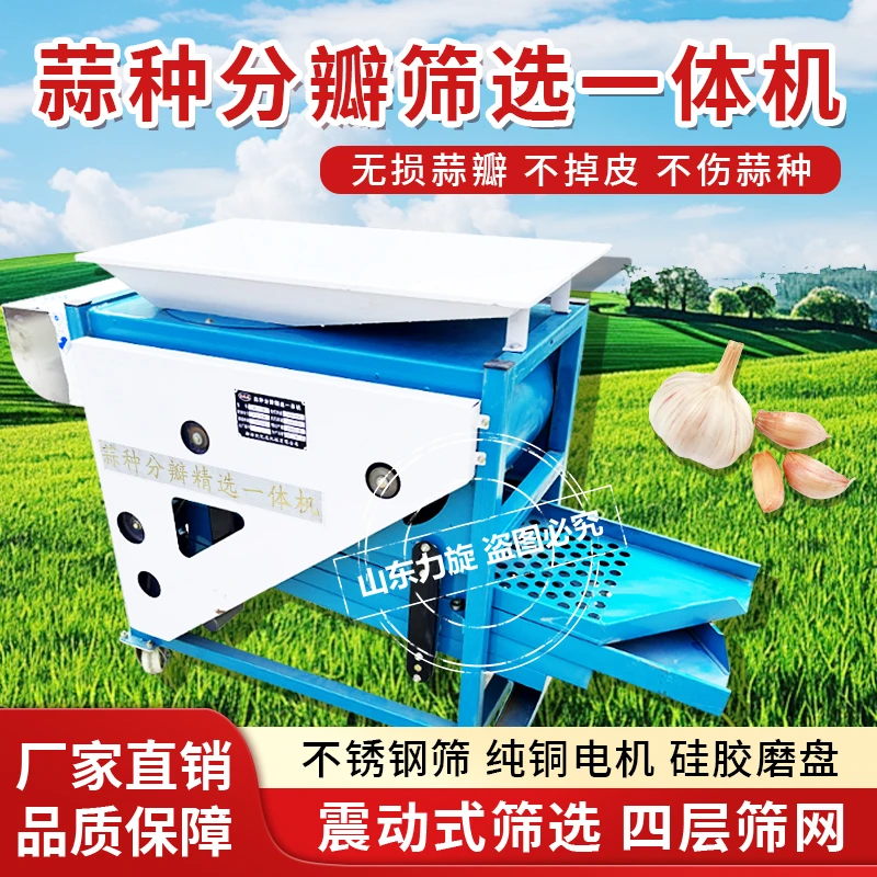 电动大蒜分瓣振动筛选机小型机家用蒜种精选除杂质一体新款精选机