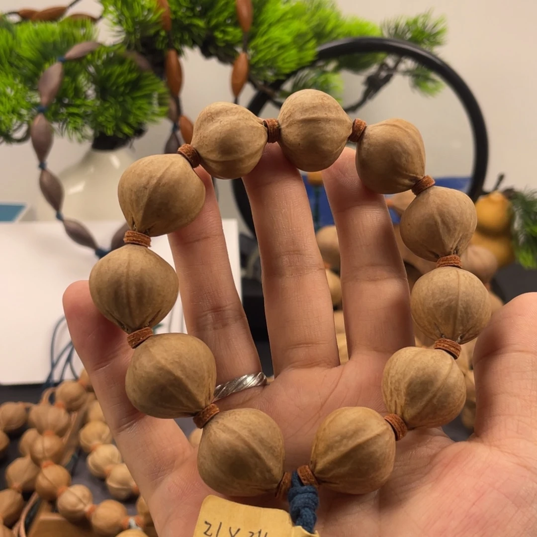 太***库木质蒜头核百年老树母树