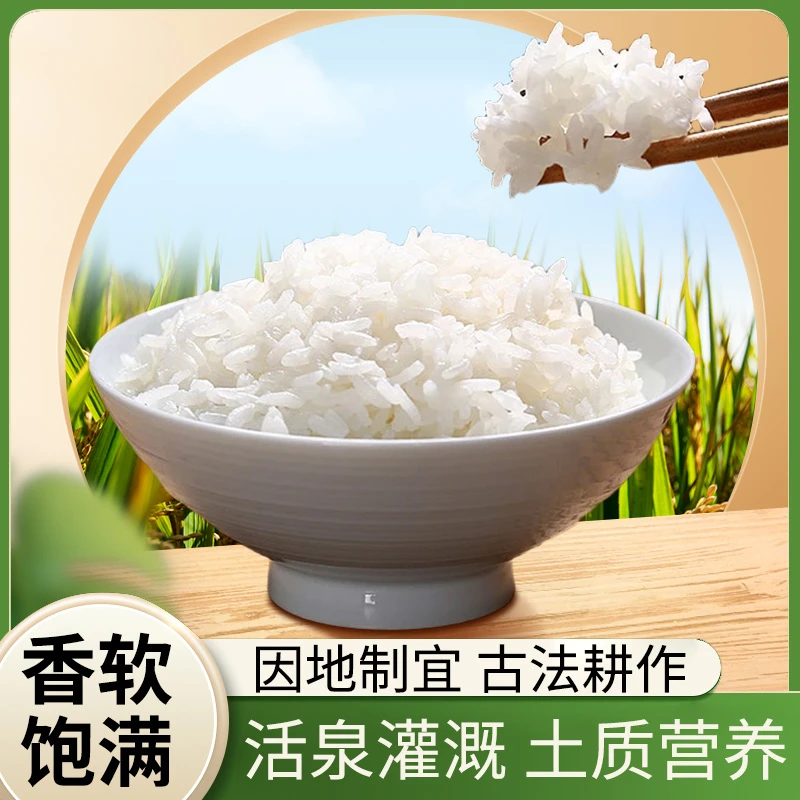 【遮放贡米】正宗云南遮放特产软糯香甜有机大米品质新米产地直发