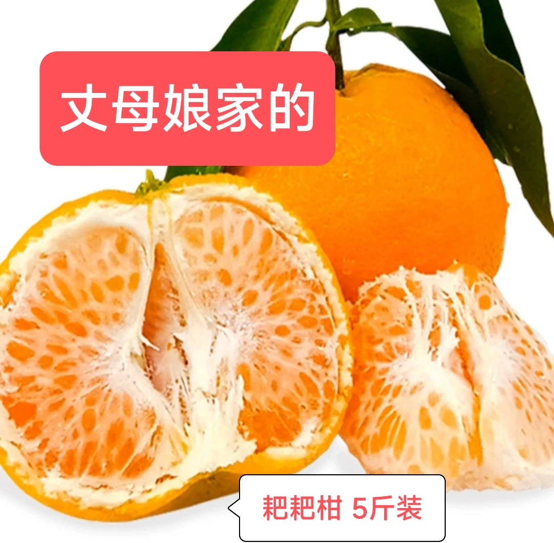 四川耙耙柑丈母娘家的春见耙耙柑水分足口感好非不正经非高科技