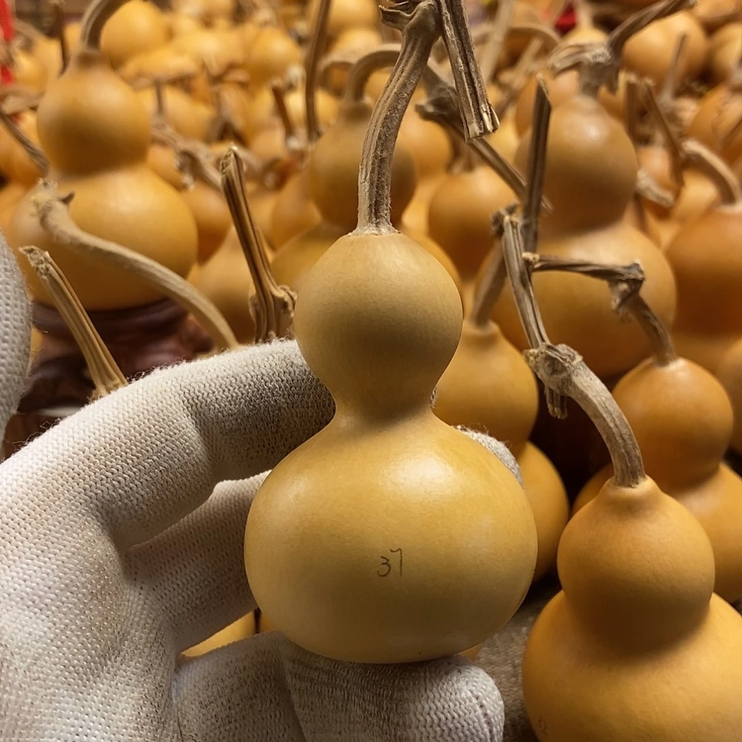 文玩葫芦 完美主义者 慎拍37