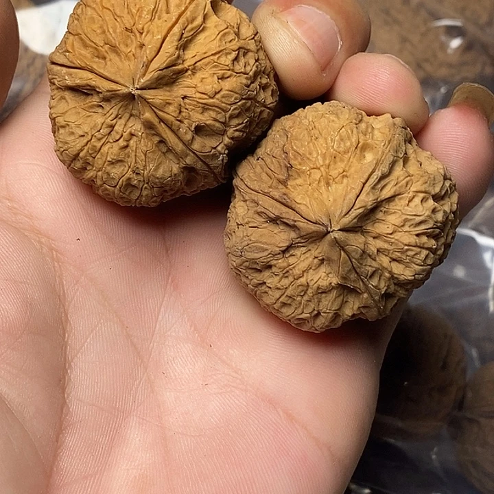 文玩核桃把件云南铁核桃21