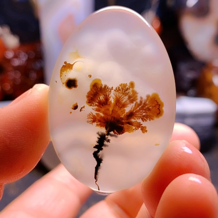 【闪购商品】玛瑙/玉髓颈饰合金