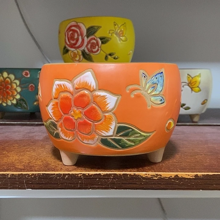 韩式多肉植物花盆