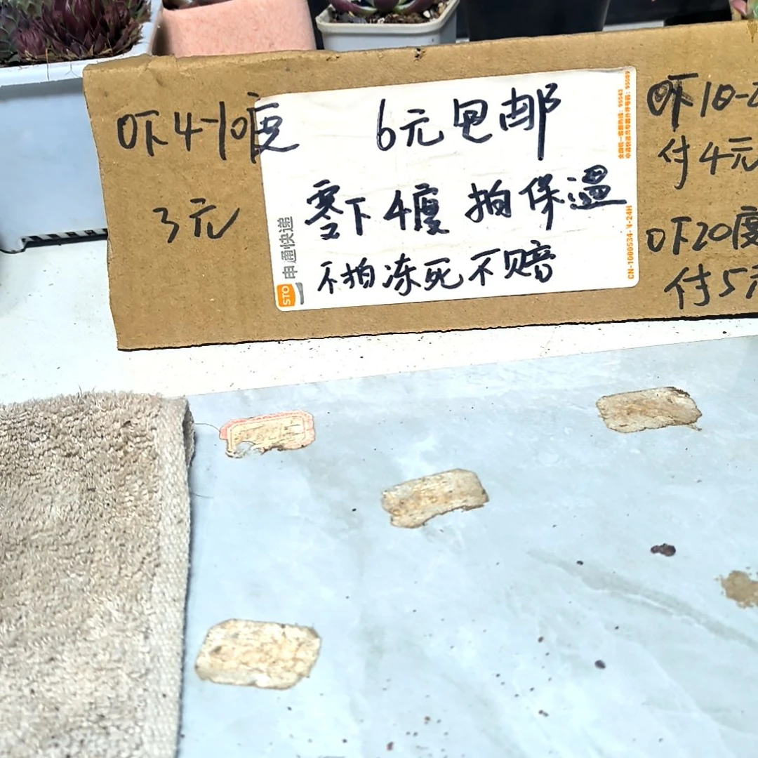 ?****子满6元包邮，#黑娃子