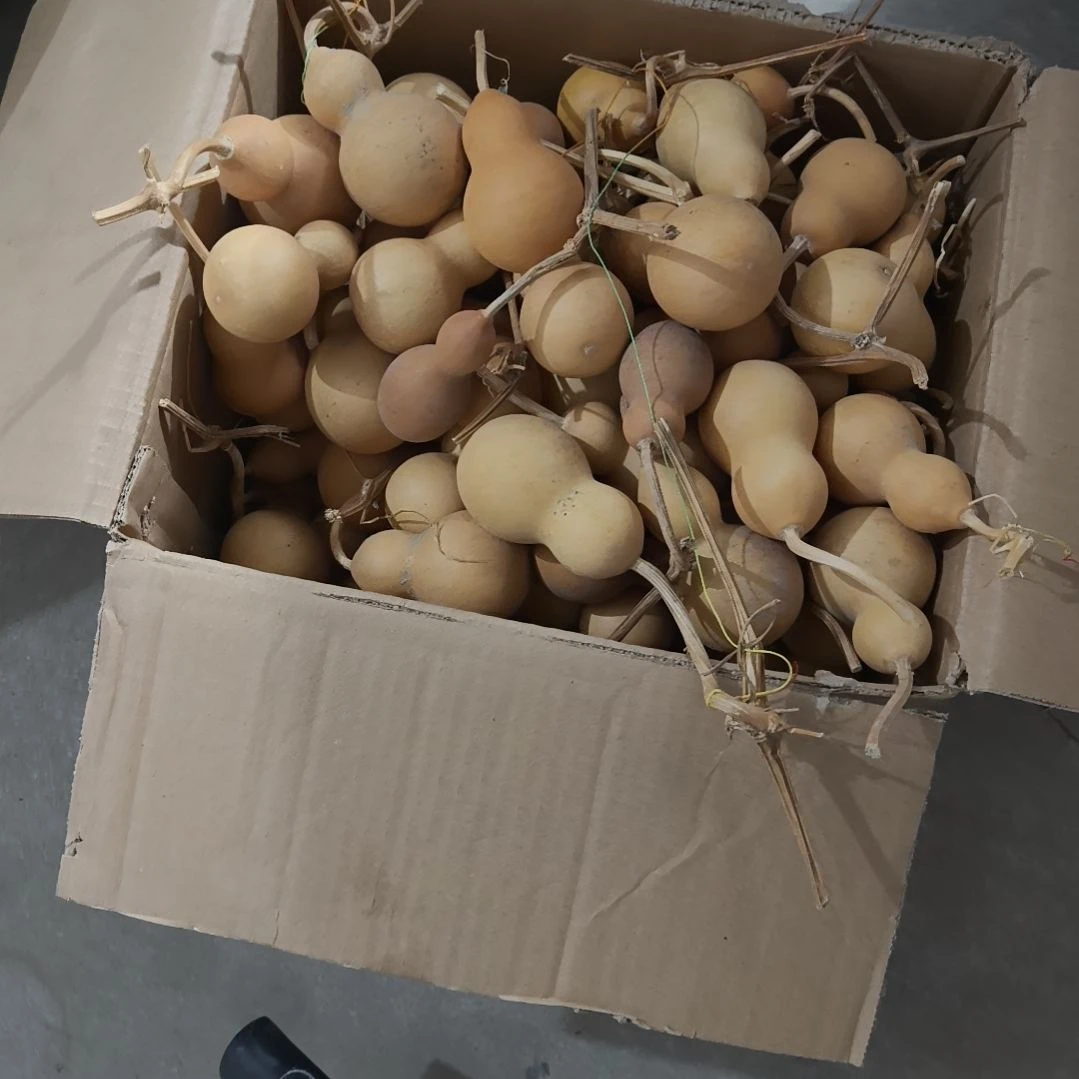 有机玻璃100个瓶子2.5一个