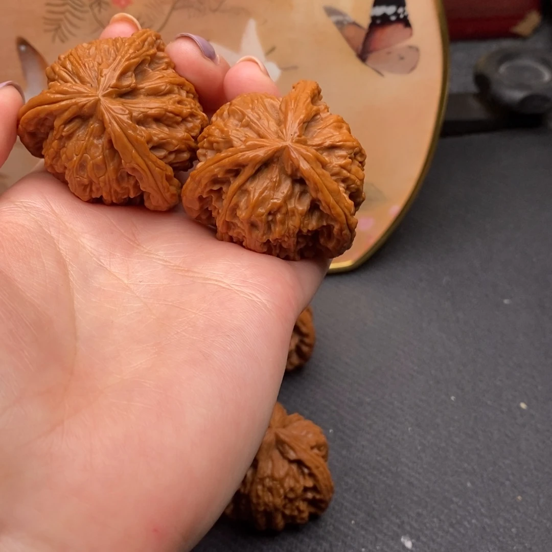 家**子白狮子111111111111