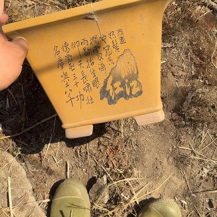 这就是所谓一群小鲜衣啊笑