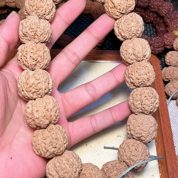 金刚菩提吊坠尼泊尔大金刚菩提