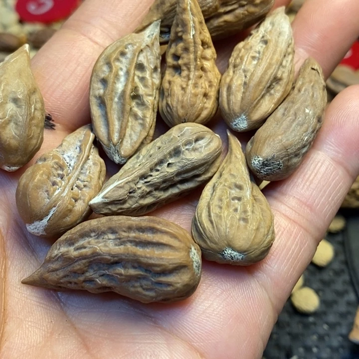 文玩核桃吊坠娜姐23