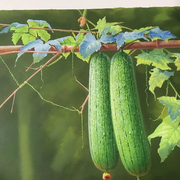 油画50*60手绘油画