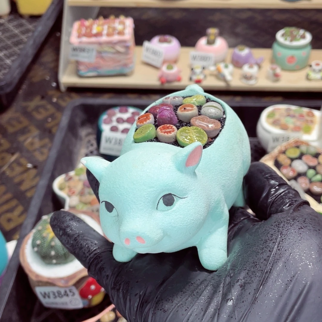 夜间零下地区拍保温箱w3855