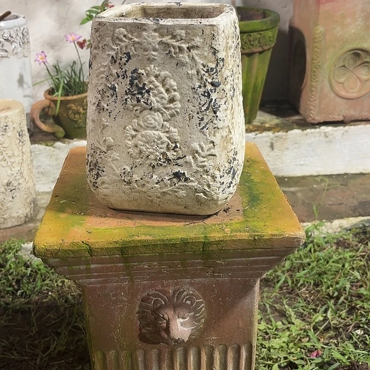 许纯的花房方口蕾丝花盆