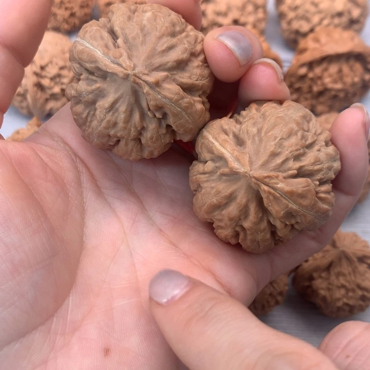 把件文玩核桃全品粗筋霸王龙40