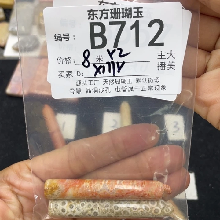 硅化珊瑚（珊瑚玉）颈饰合金x*y