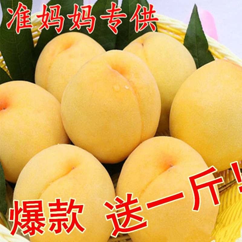 黄桃水果新鲜脆甜桃子软桃毛桃现摘现发黄金蜜桃当季大桃5斤包邮