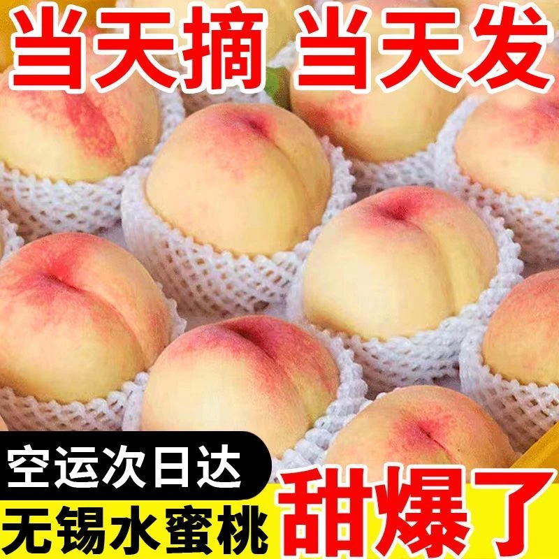 买6个送6个正宗无锡水蜜桃整箱当季湖景白凤大果桃子时令现摘现发