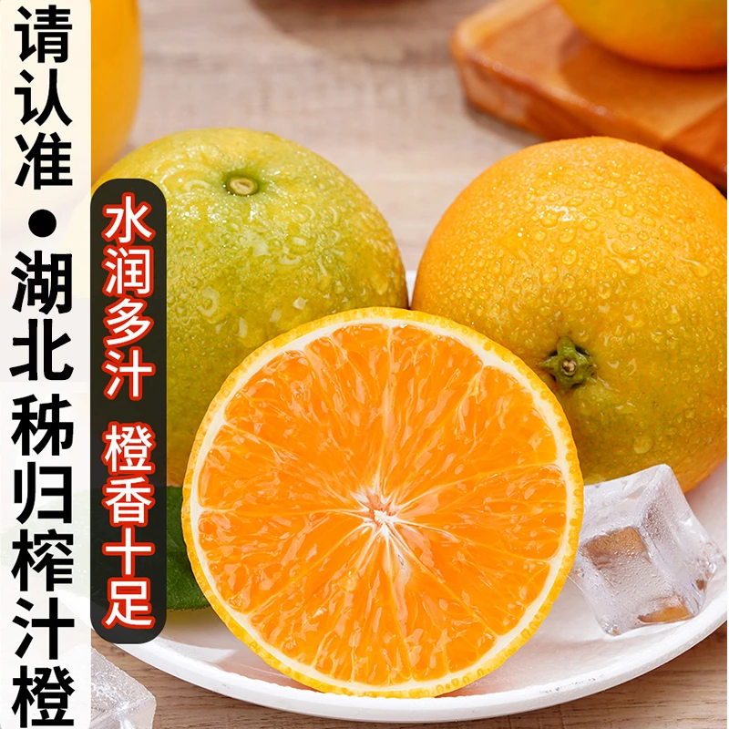 【商用榨汁】秭归蜜奈夏橙爆汁酸甜橙子批发榨汁专用新鲜榨汁橙