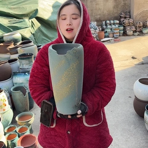 口16高38瑕疵盆子