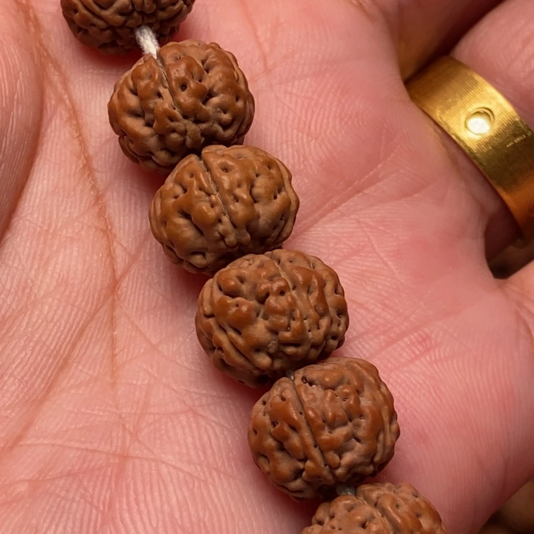 吊坠金刚菩提一*三纯血老树王11