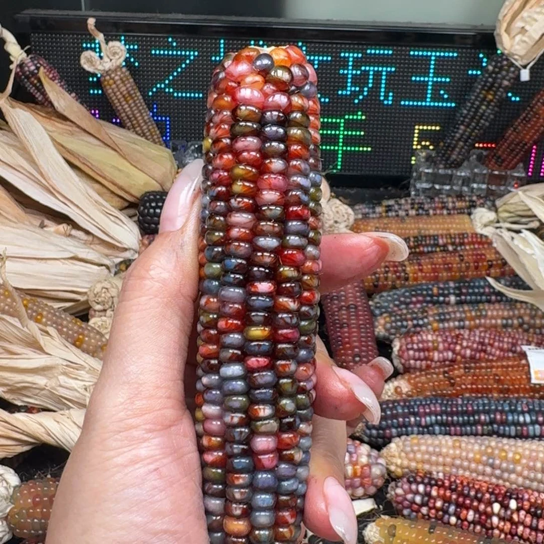 柏香籽/百香籽吊坠?***面