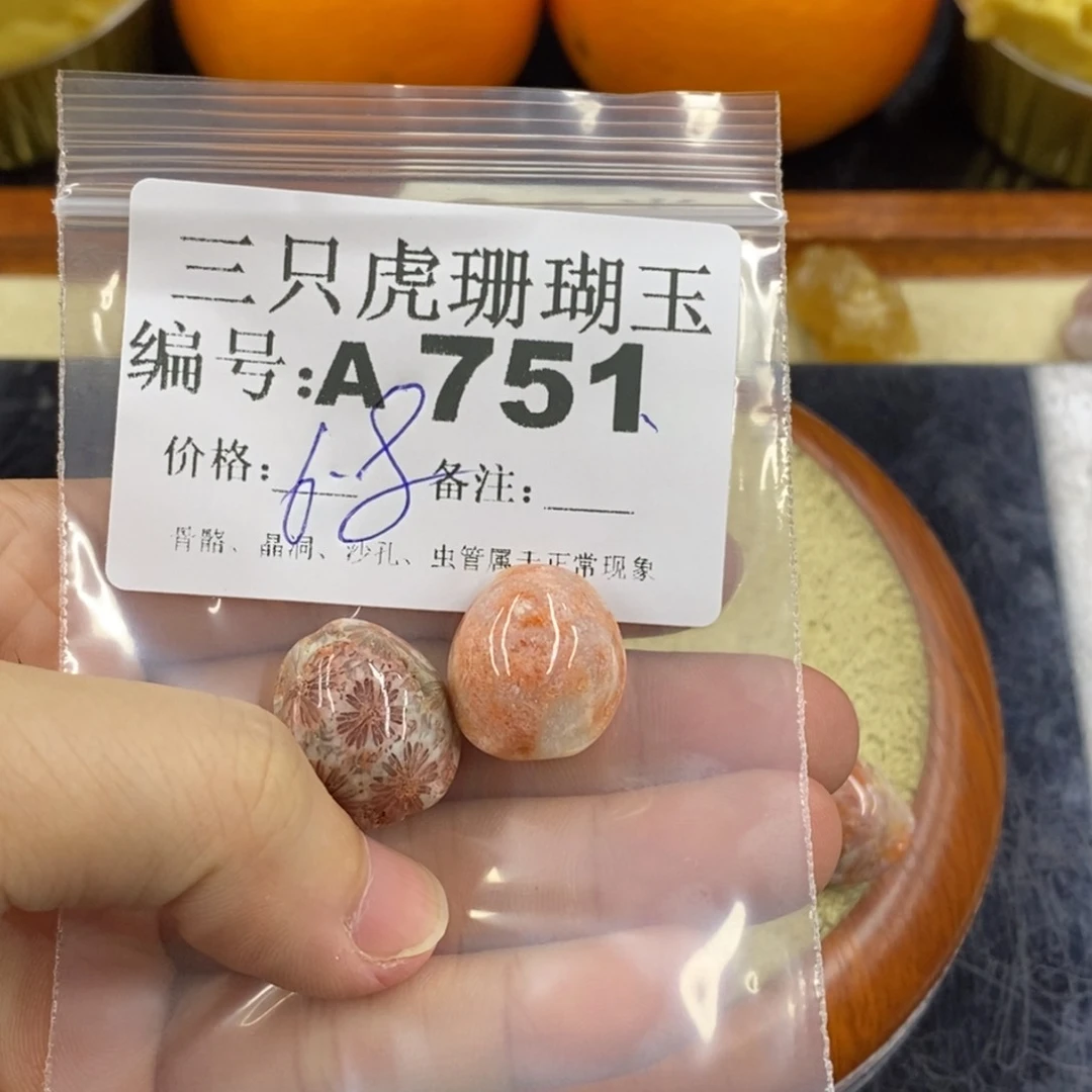 硅化珊瑚（珊瑚玉）1未镶嵌慧****1