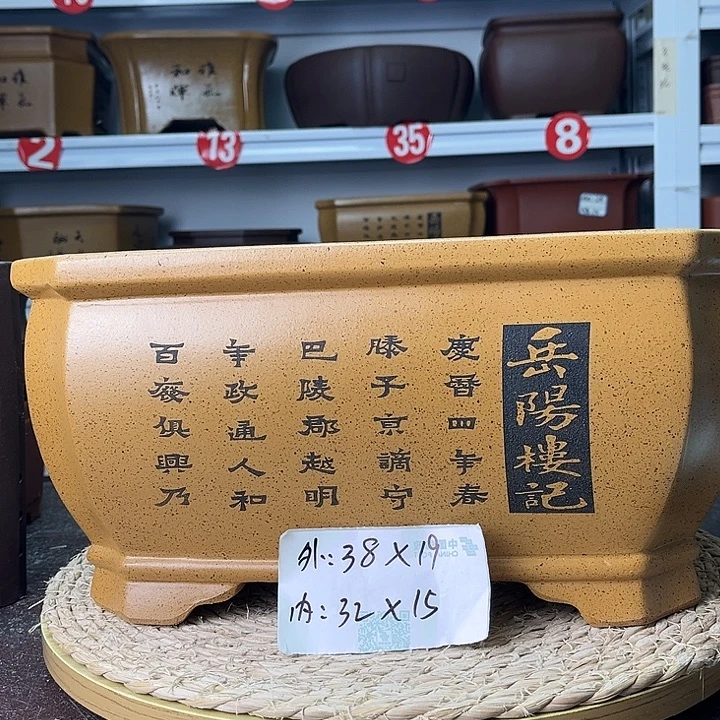 花盆紫砂你在一起