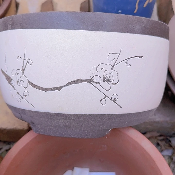 紫砂白色绿萝大花盆花盆