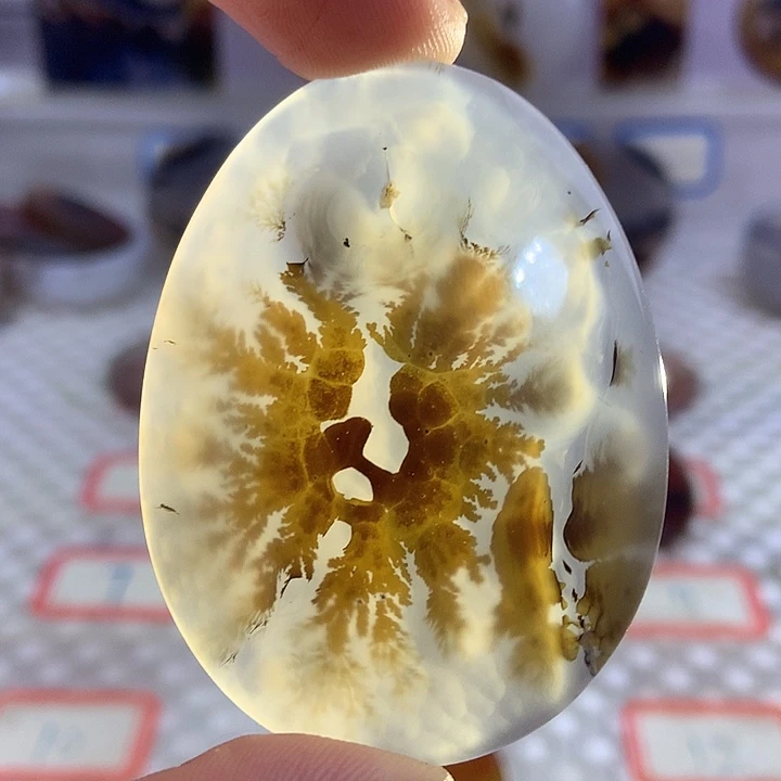 玛瑙/玉髓合金颈饰