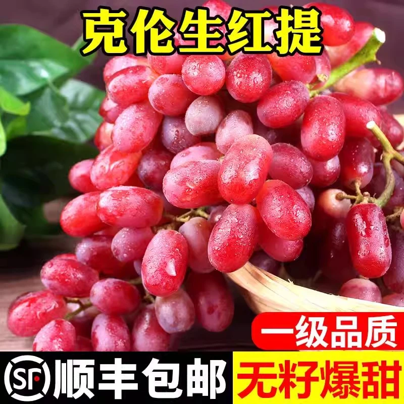 【顺丰包邮】克伦生无籽红提葡萄现摘新鲜多汁无核无籽超脆甜山东省