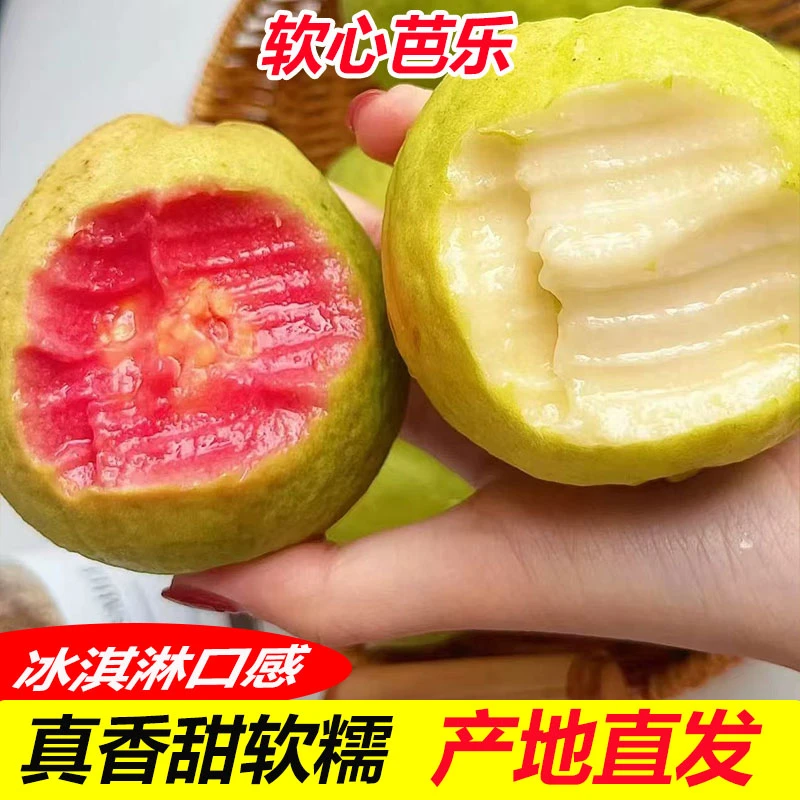福建红心芭乐水果新鲜包邮5斤低糖软糯香甜南方奶油芭乐番石榴3斤