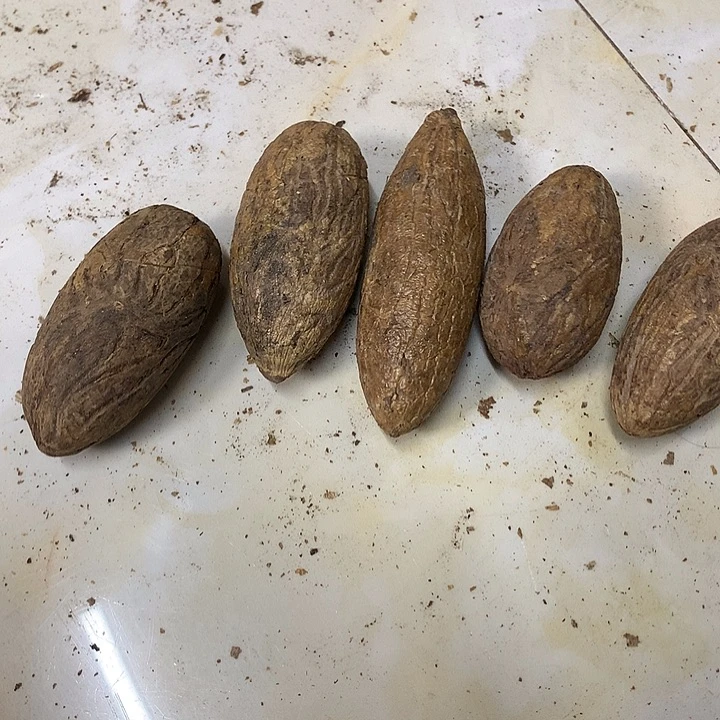 一***间千眼菩提吊坠千眼菩提