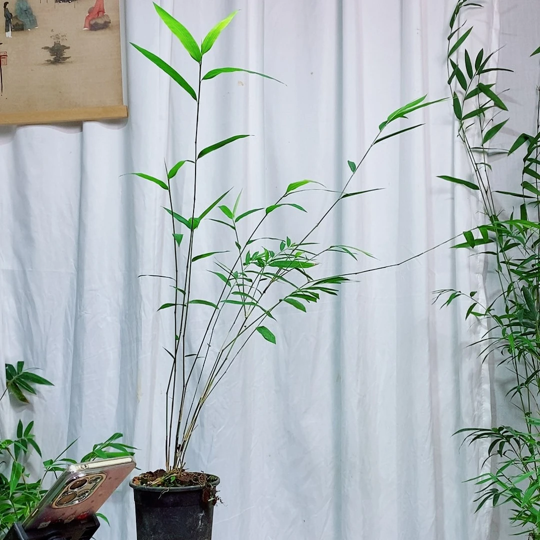 完全开放888888888